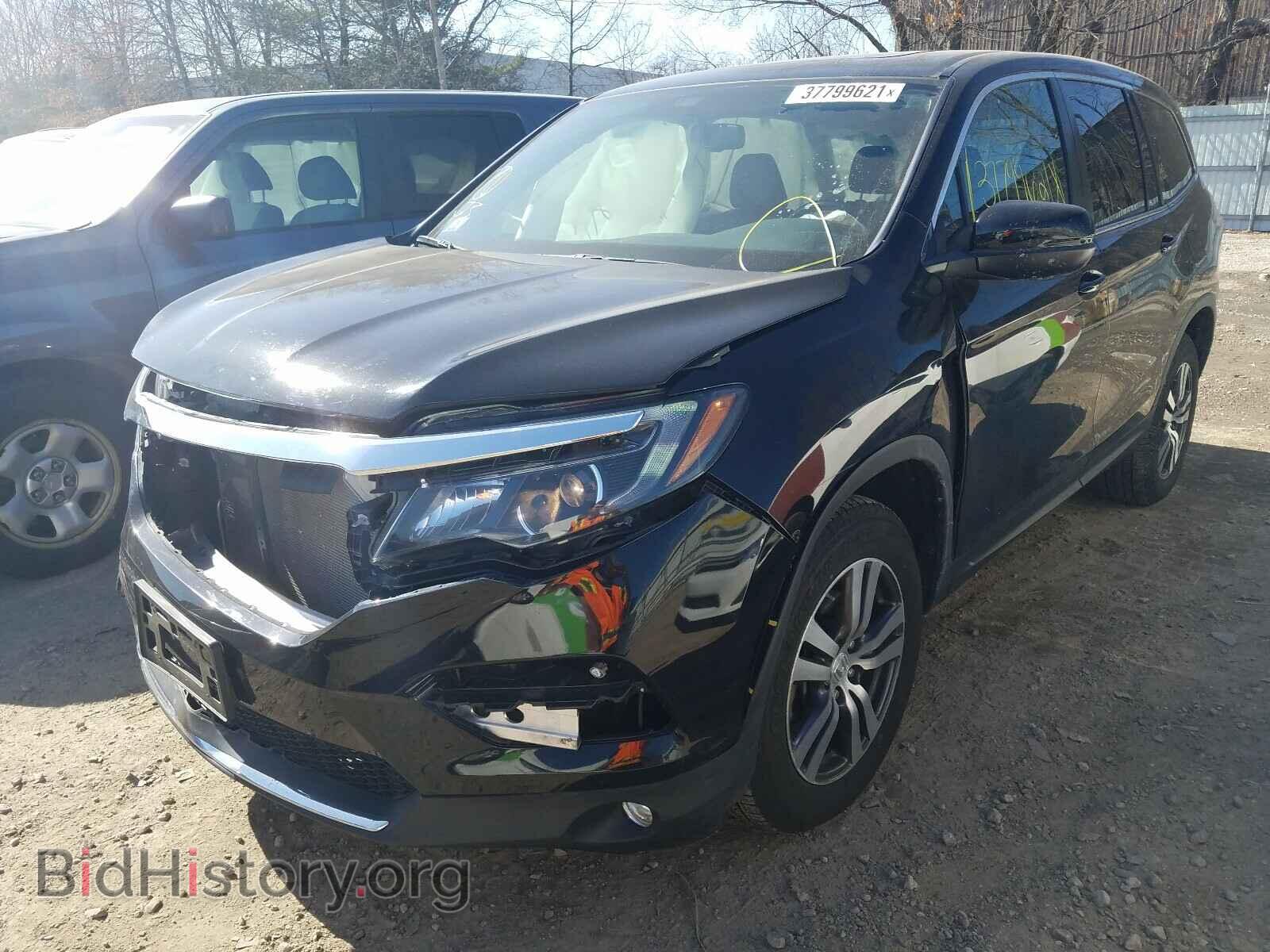 2017 HONDA PILOT - VIN: 5FNYF6H70HB007159 - Фото 2