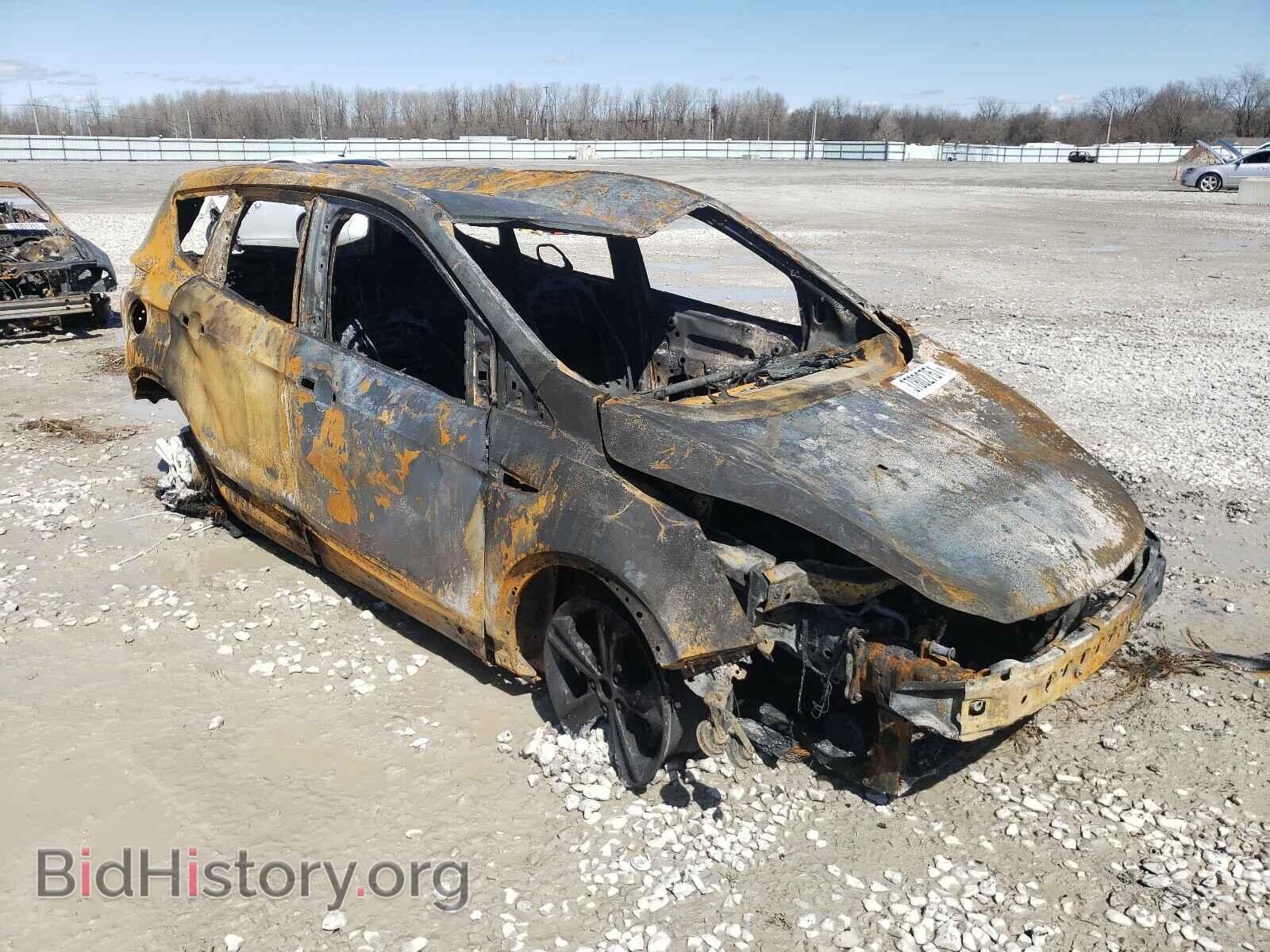 Фотография 1FMCU0F73EUE52252 - FORD ESCAPE 2014