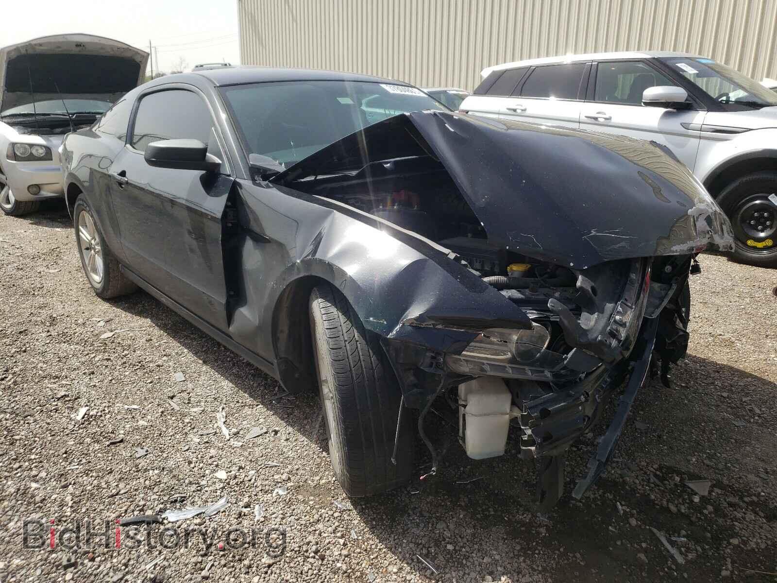 Фотография 1ZVBP8AM3D5276098 - FORD MUSTANG 2013