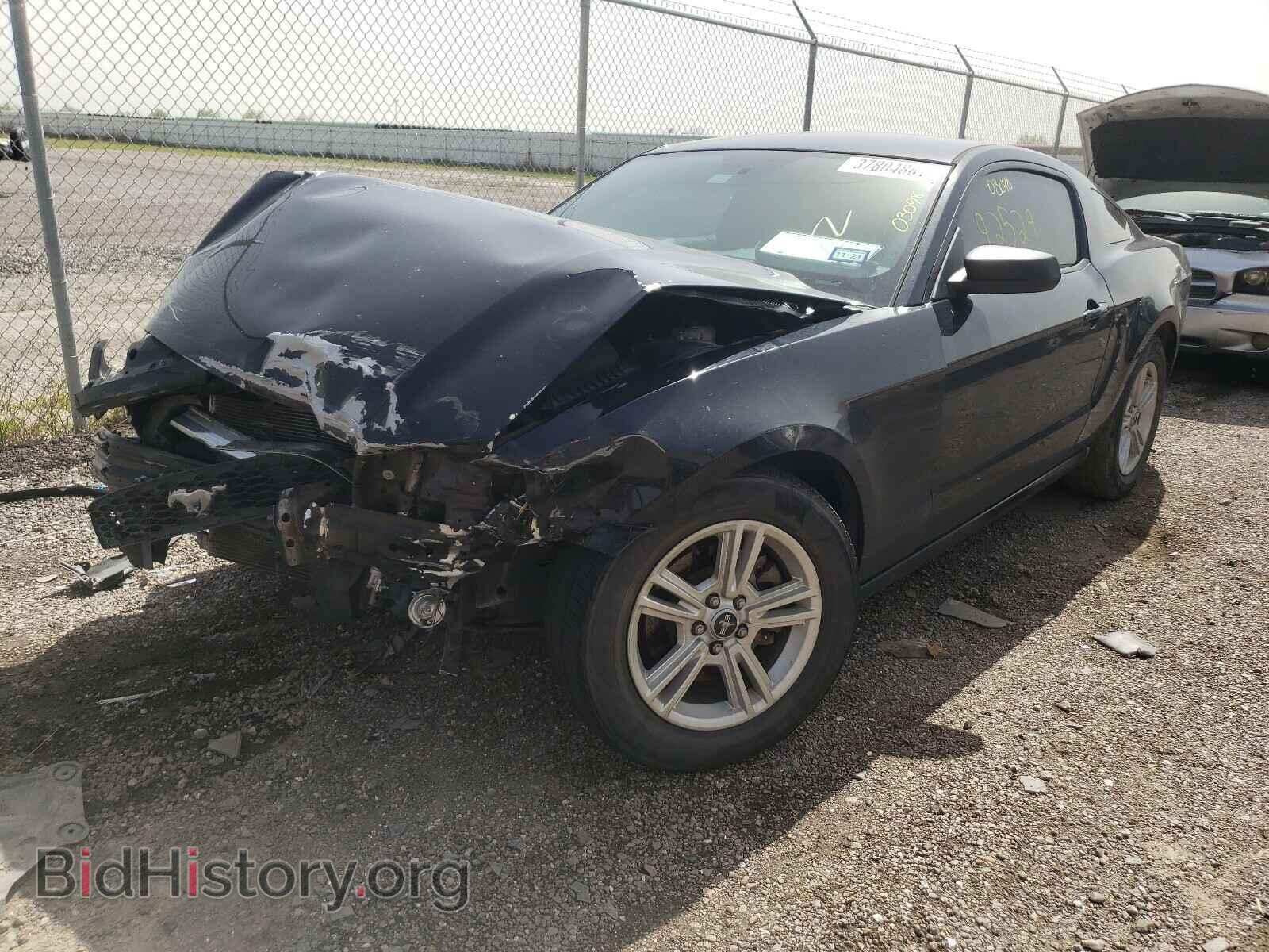 2013 FORD MUSTANG - VIN: 1ZVBP8AM3D5276098 - Фото 2