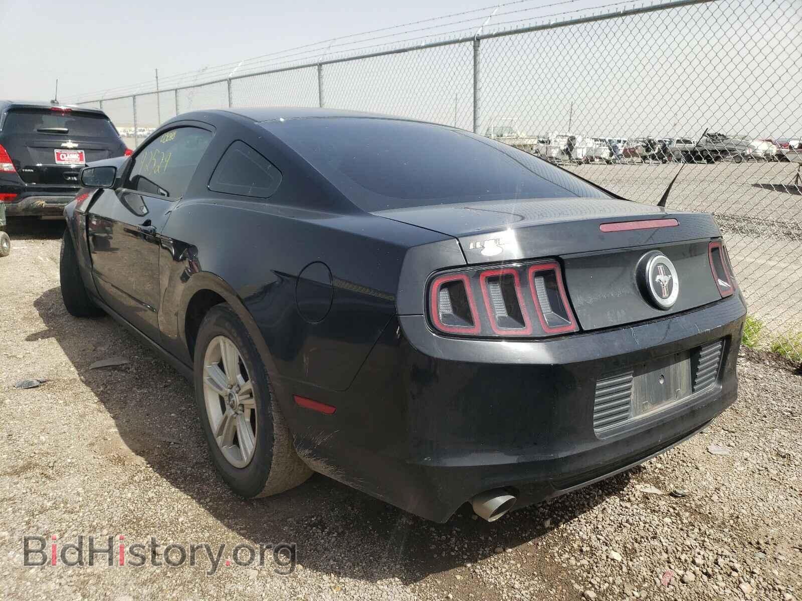 2013 FORD MUSTANG - VIN: 1ZVBP8AM3D5276098 - Фото 3