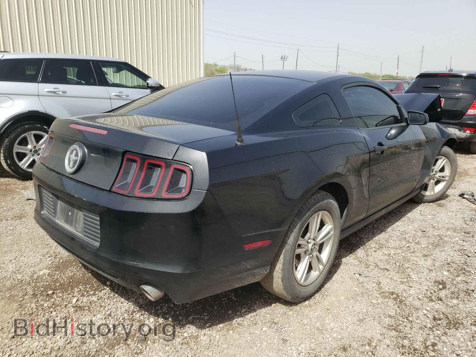 2013 FORD MUSTANG - VIN: 1ZVBP8AM3D5276098 - Фото 4