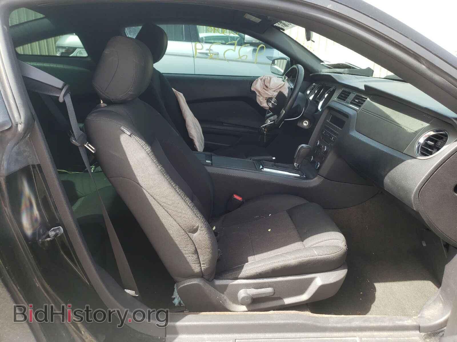 2013 FORD MUSTANG - VIN: 1ZVBP8AM3D5276098 - Фото 5