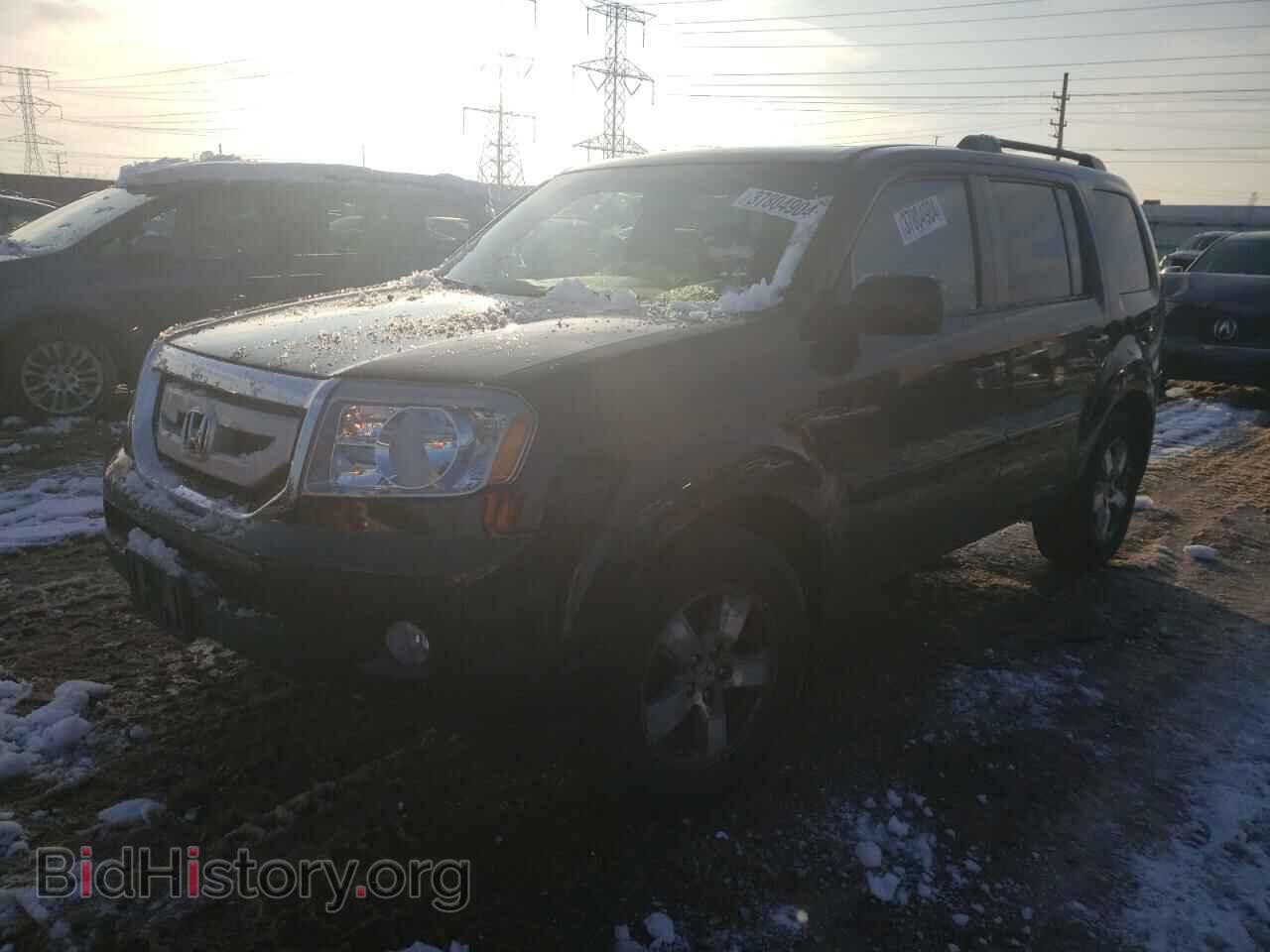 Photo 5FNYF4H5XBB010791 - HONDA PILOT 2011
