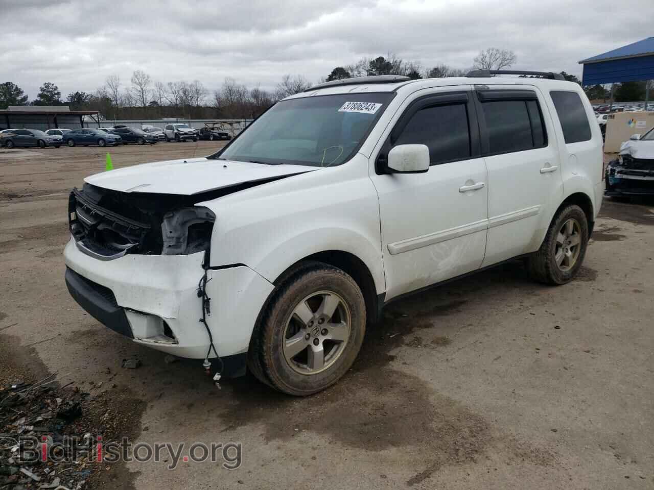 Photo 5FNYF3H53DB024139 - HONDA PILOT 2013