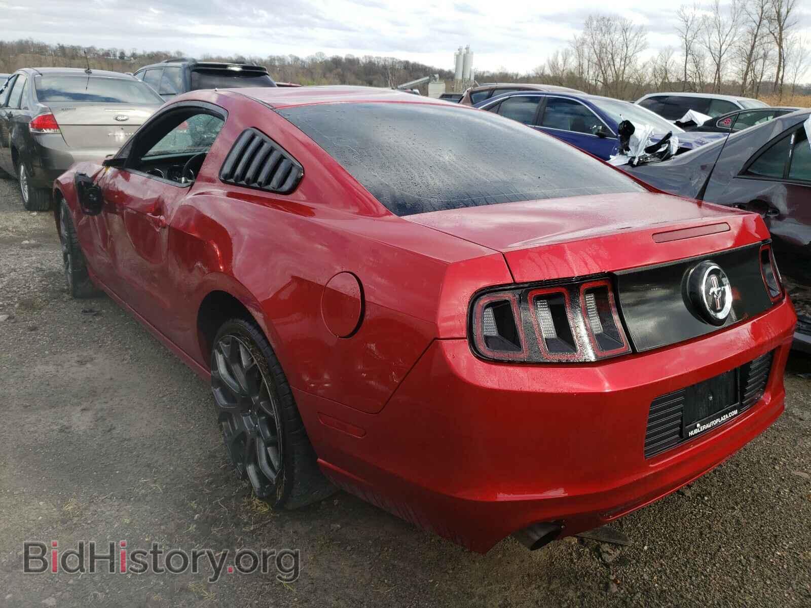 2013 FORD MUSTANG - VIN: 1ZVBP8AM0D5274454 - Фото 3