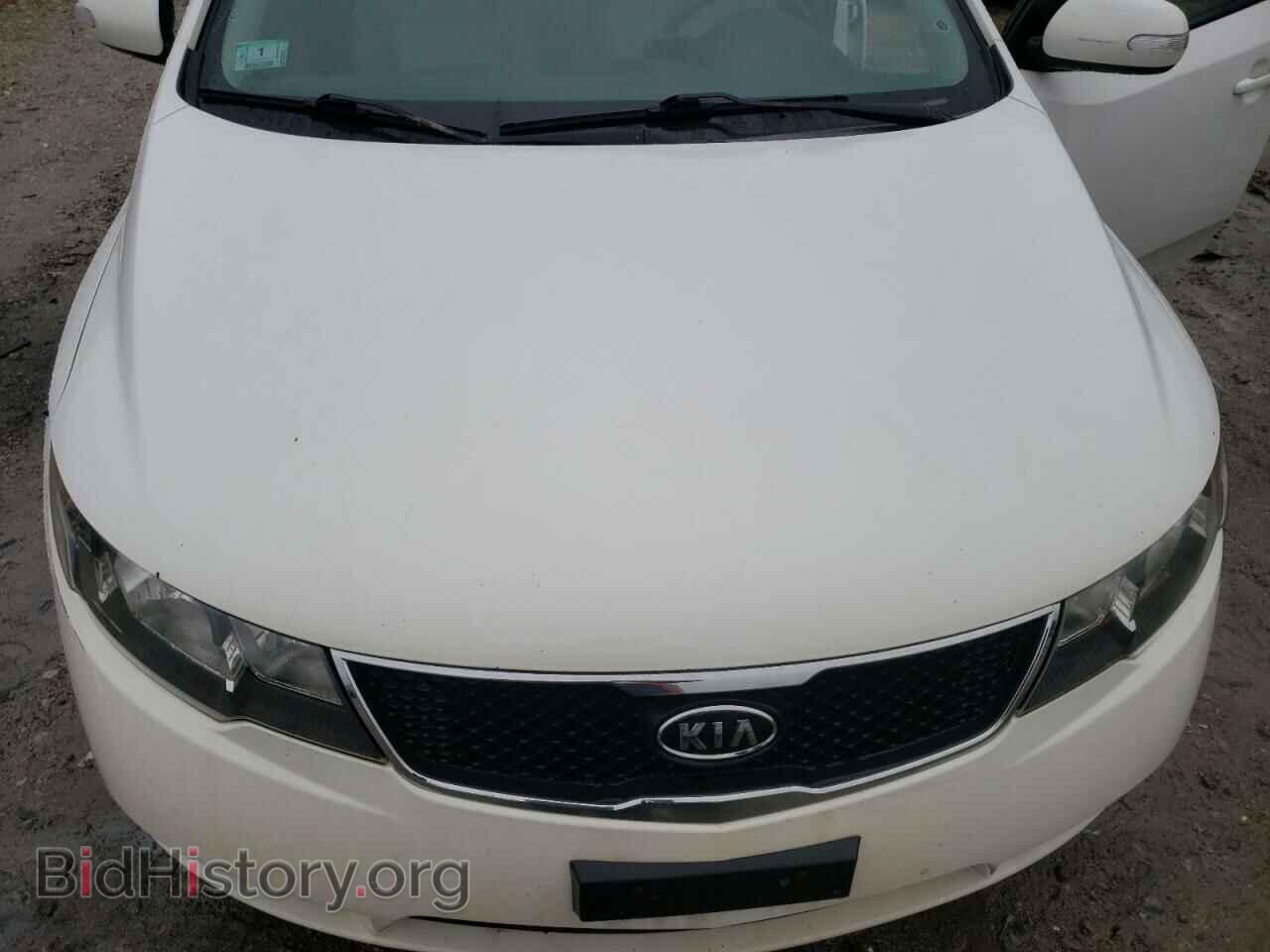 2010 KIA FORTE - VIN: KNAFU4A29A5843492 - Фото 11