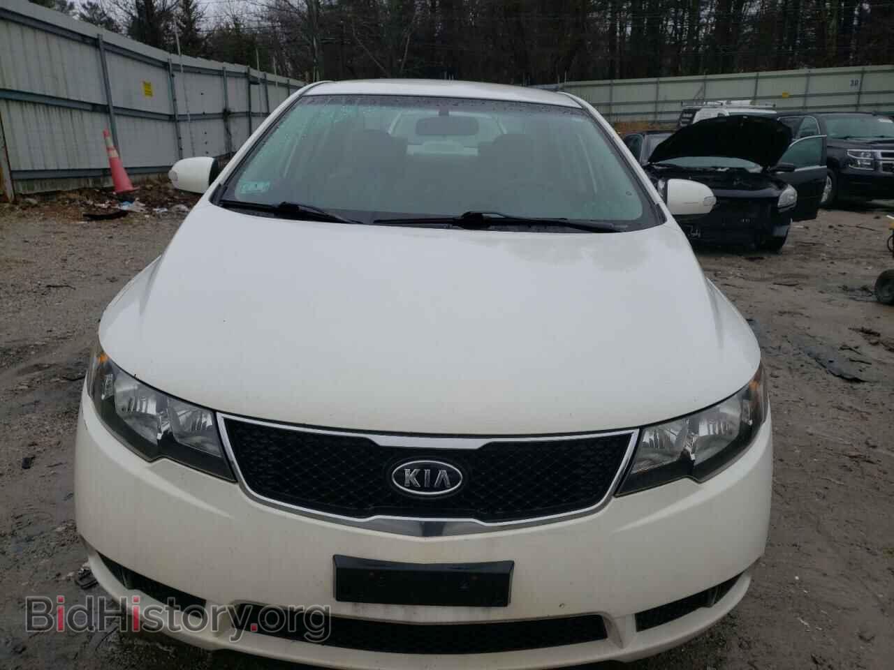 2010 KIA FORTE - VIN: KNAFU4A29A5843492 - Фото 5