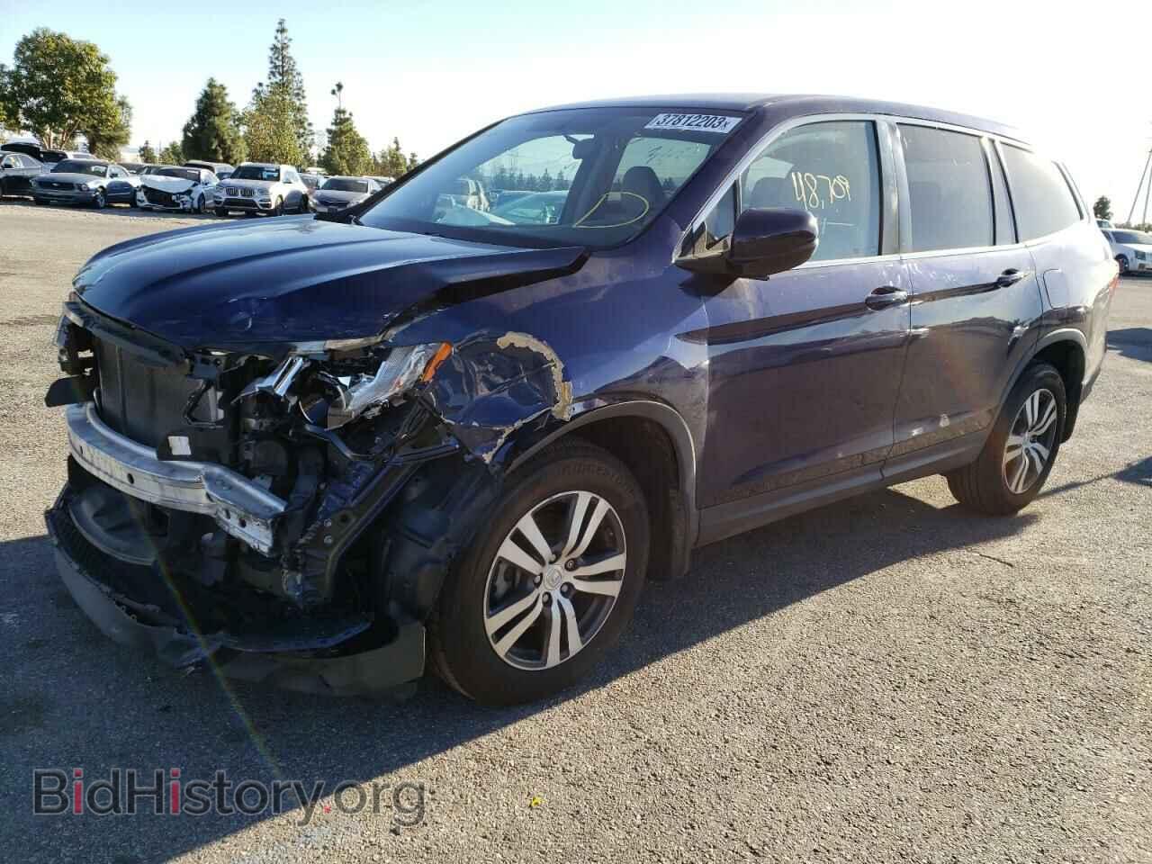 Photo 5FNYF5H34HB036901 - HONDA PILOT 2017