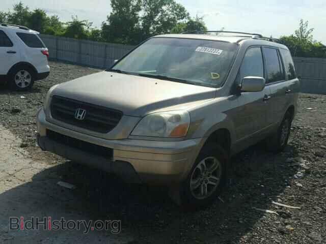 2005 HONDA PILOT - VIN: 2HKYF185X5H519946 - Фото 2