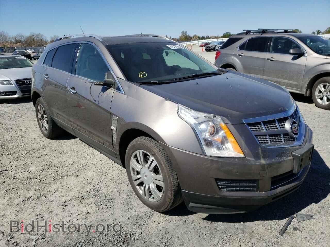 Фотография 3GYFNDEY4BS564693 - CADILLAC SRX 2011