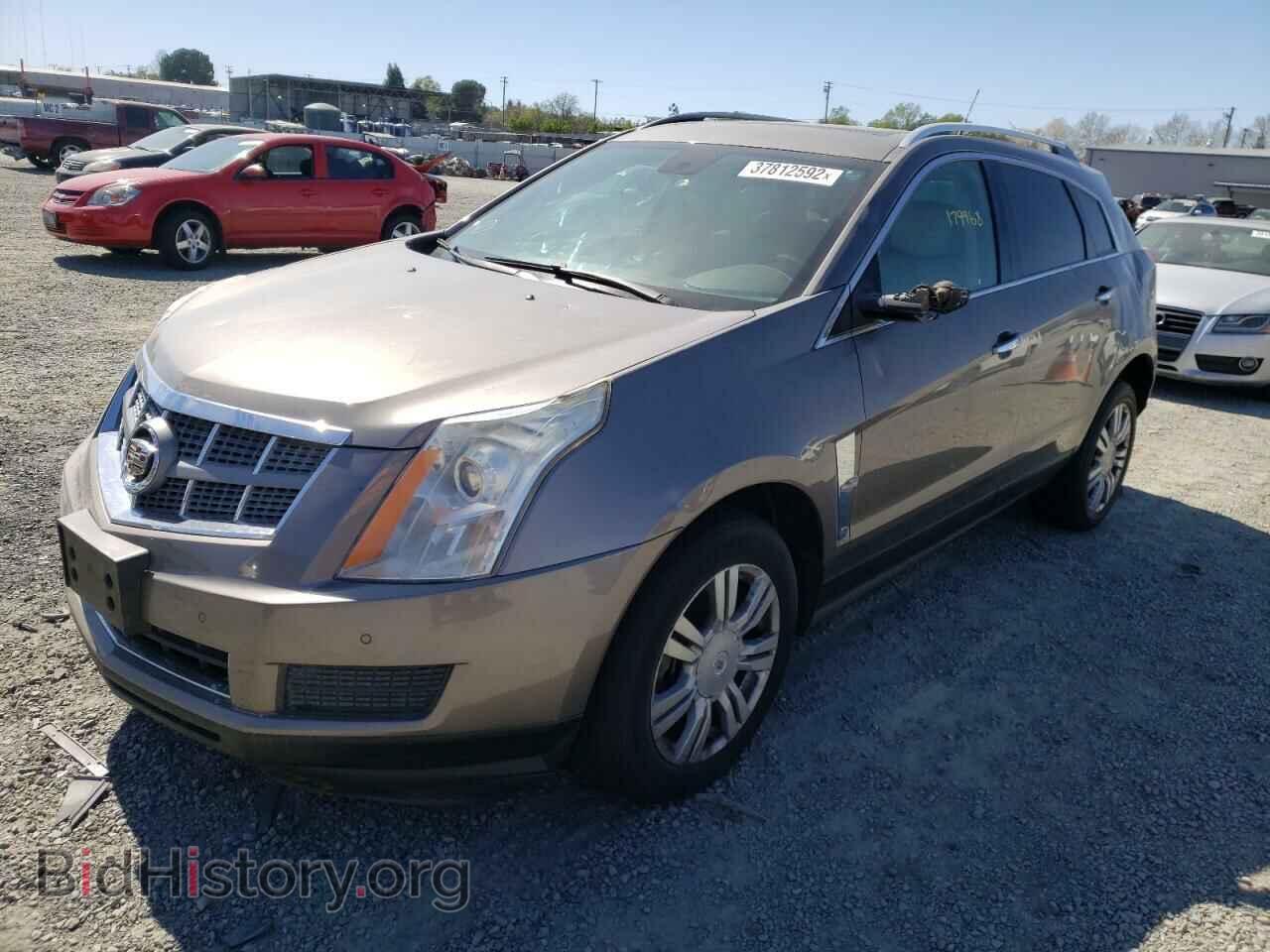 2011 CADILLAC SRX - VIN: 3GYFNDEY4BS564693 - Фото 2