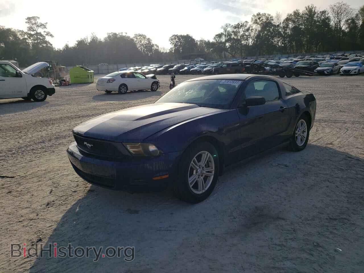 Фотография 1ZVBP8AM0C5244479 - FORD MUSTANG 2012
