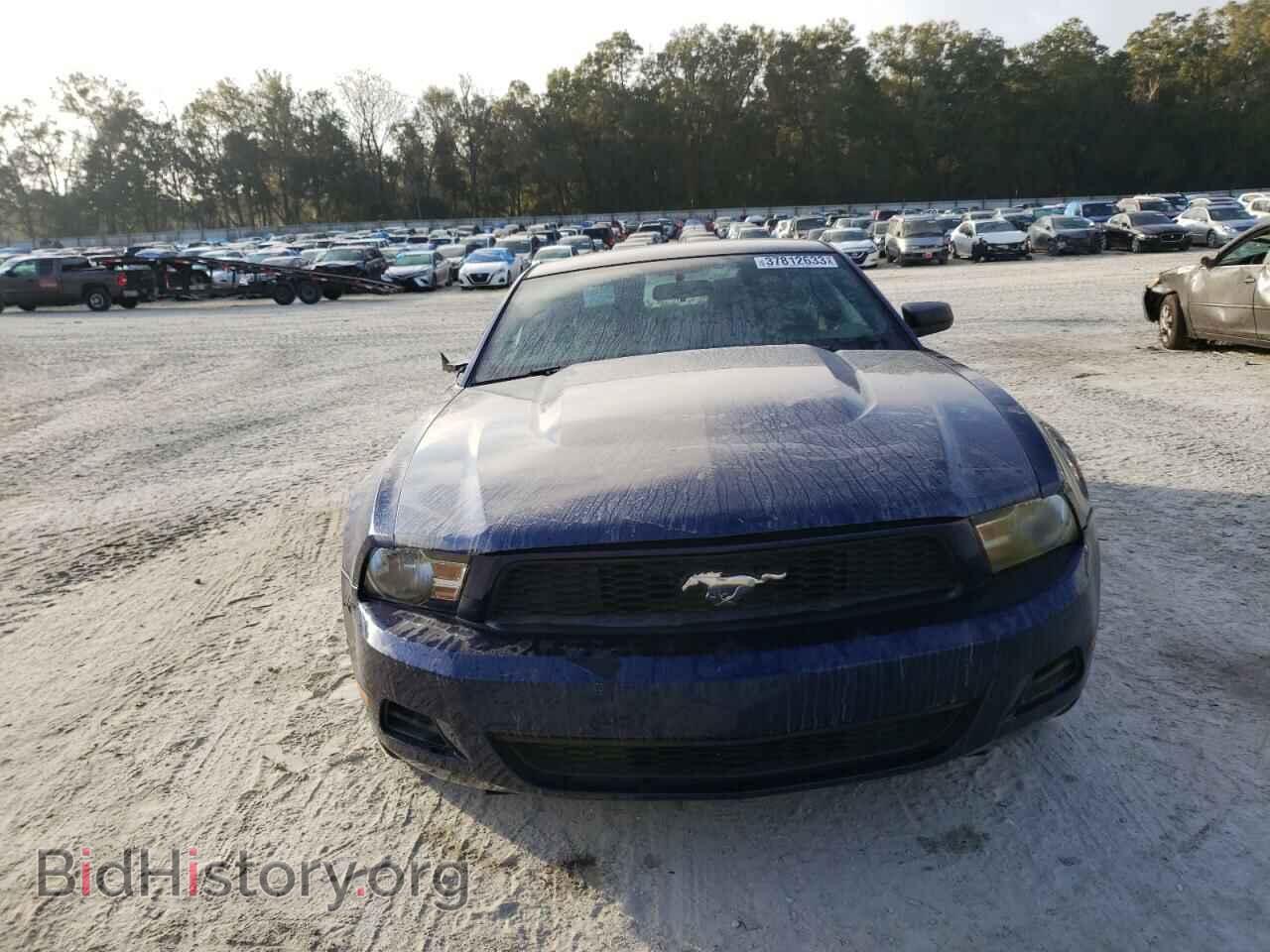 2012 FORD MUSTANG - VIN: 1ZVBP8AM0C5244479 - Фото 5