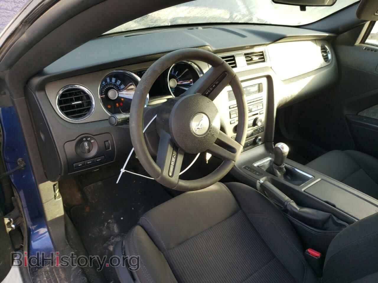 2012 FORD MUSTANG - VIN: 1ZVBP8AM0C5244479 - Фото 8