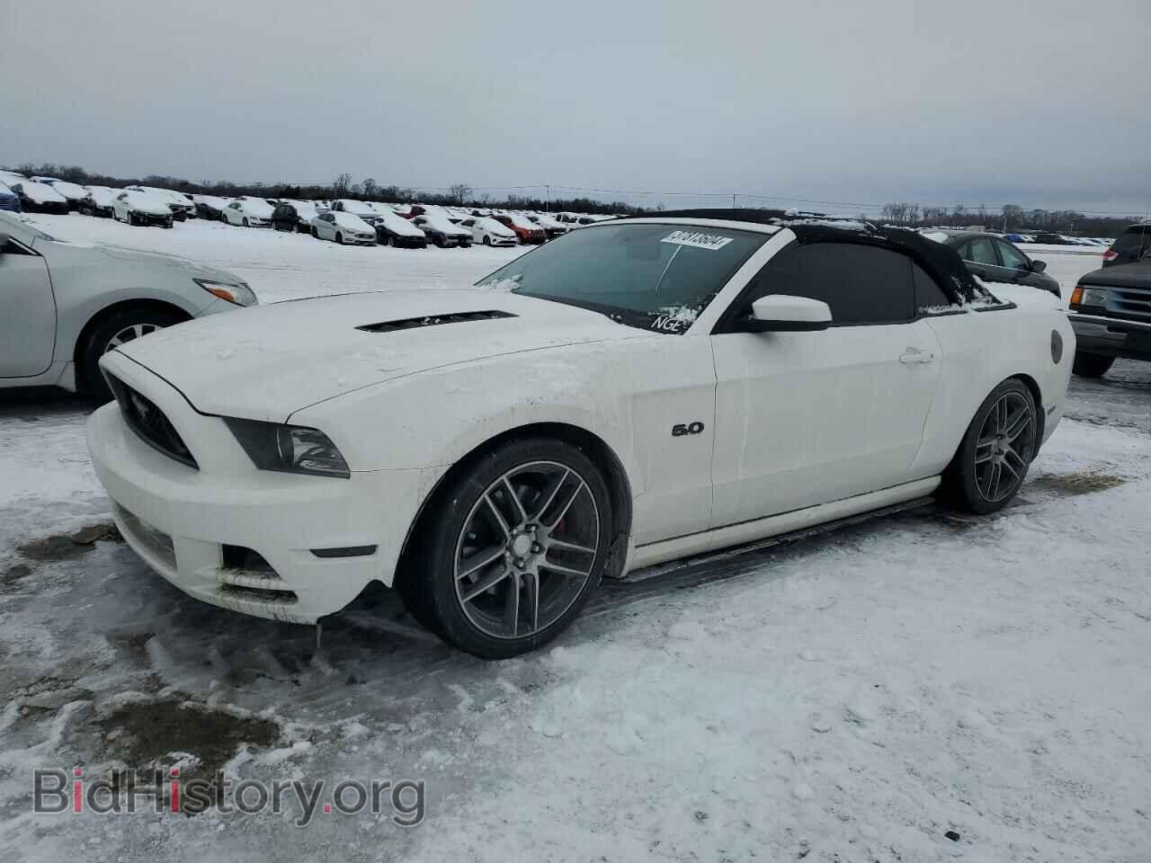 Фотография 1ZVBP8FF1D5215603 - FORD MUSTANG 2013
