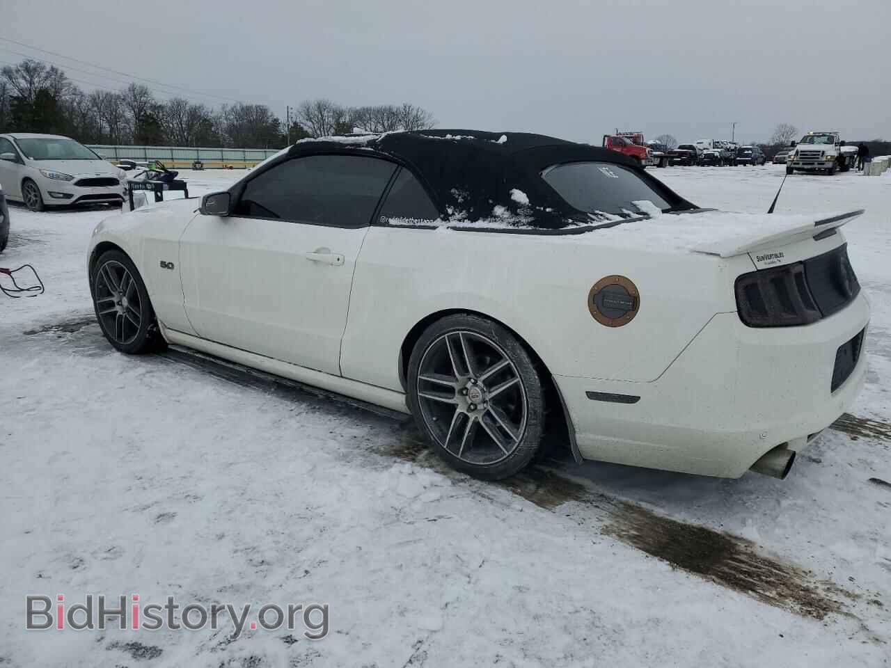 2013 FORD MUSTANG - VIN: 1ZVBP8FF1D5215603 - Фото 2