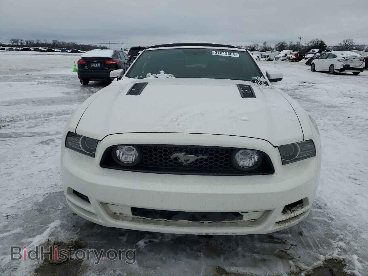 2013 FORD MUSTANG - VIN: 1ZVBP8FF1D5215603 - Фото 5
