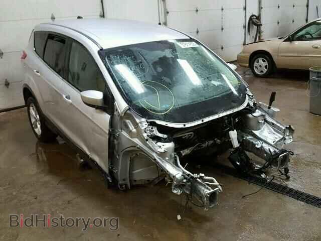 Фотография 1FMCU0GX5EUC67053 - FORD ESCAPE 2014