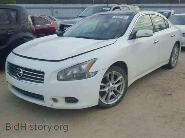 2009 NISSAN MAXIMA - VIN: 1N4AA51E69C848992 - Фото 2