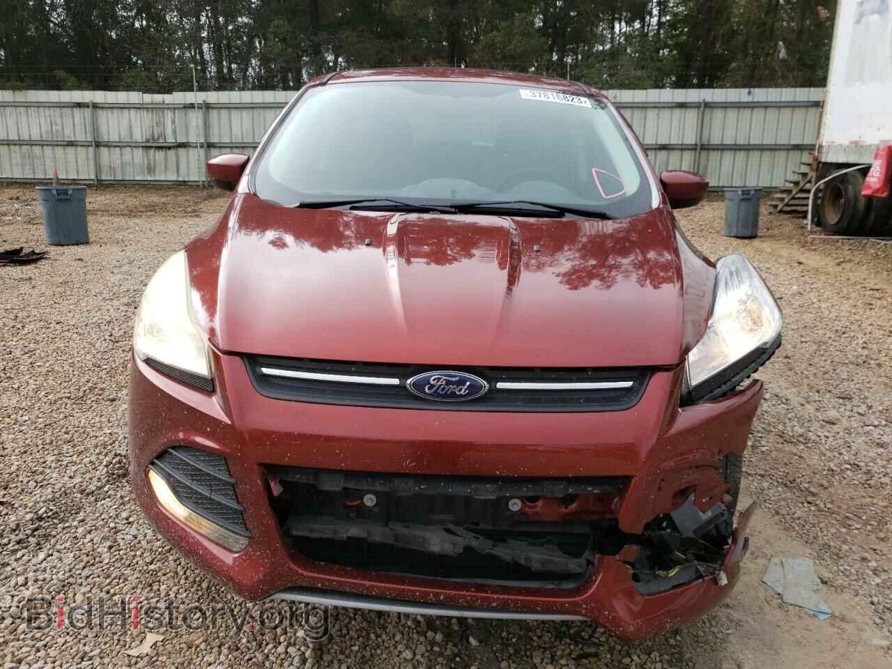2014 FORD ESCAPE - VIN: 1FMCU0GX5EUE34561 - Фото 5