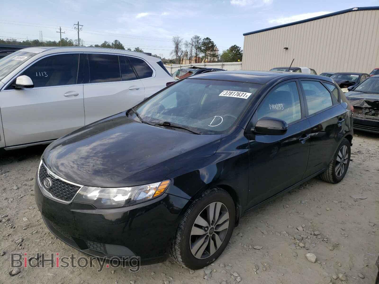 2013 KIA FORTE - VIN: KNAFU5A26D5690239 - Фото 2