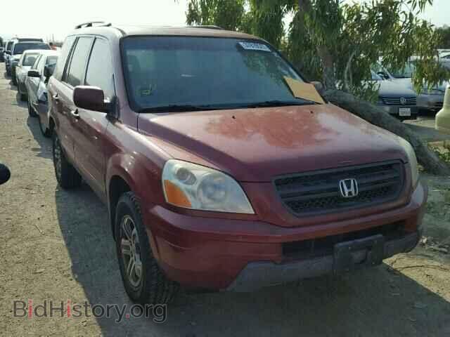 Фотография 5FNYF18595B010557 - HONDA PILOT 2005