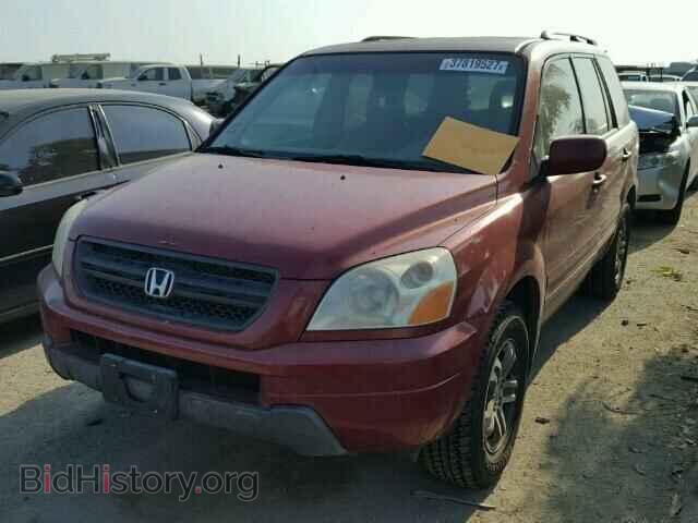 2005 HONDA PILOT - VIN: 5FNYF18595B010557 - Фото 2