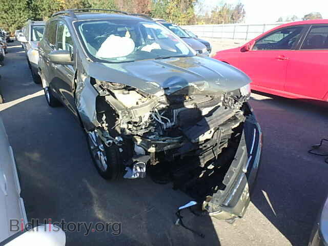 Фотография 1FMCU0GX5DUB89789 - FORD ESCAPE 2013