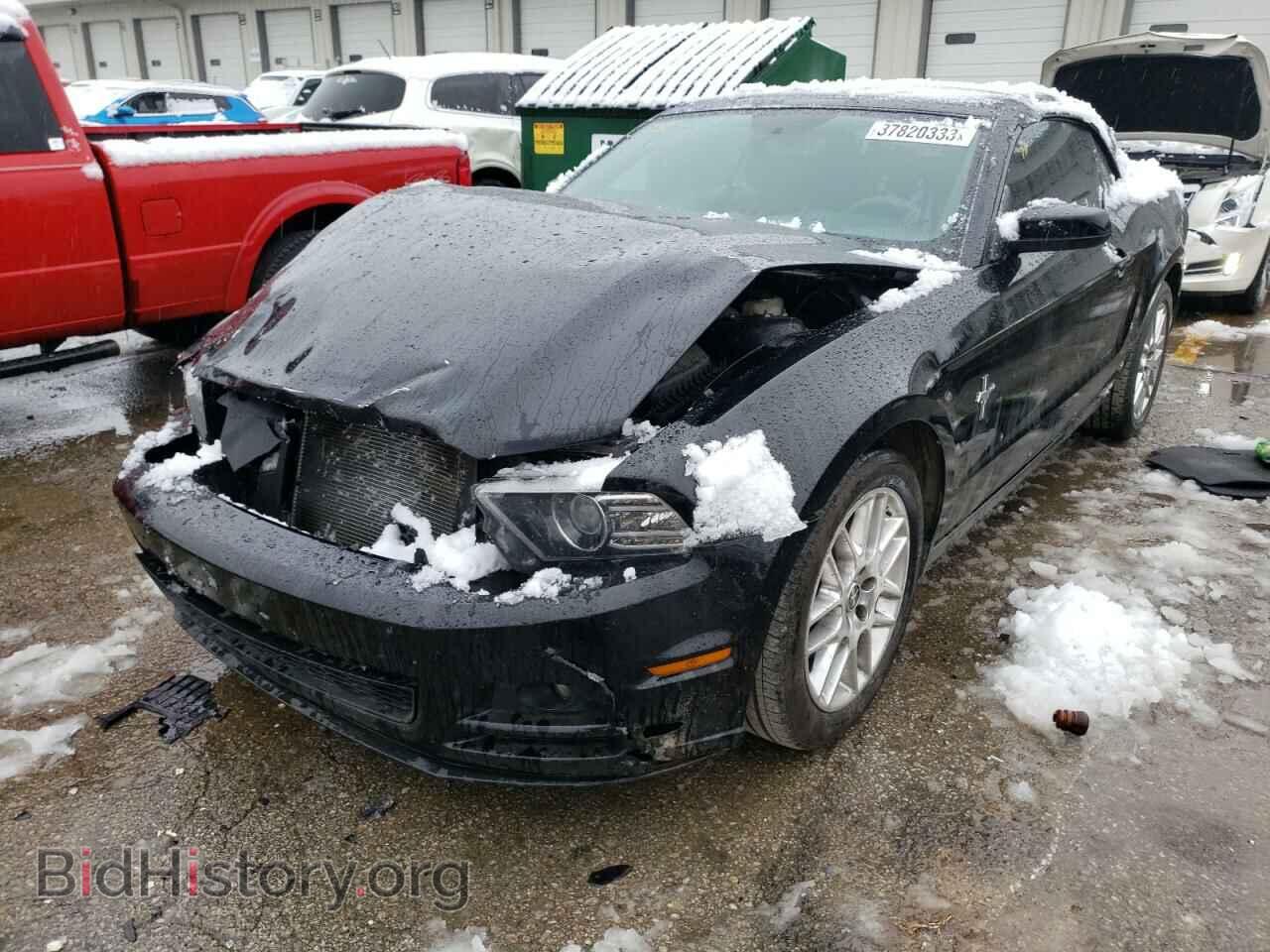 Фотография 1ZVBP8EM9E5254005 - FORD MUSTANG 2014