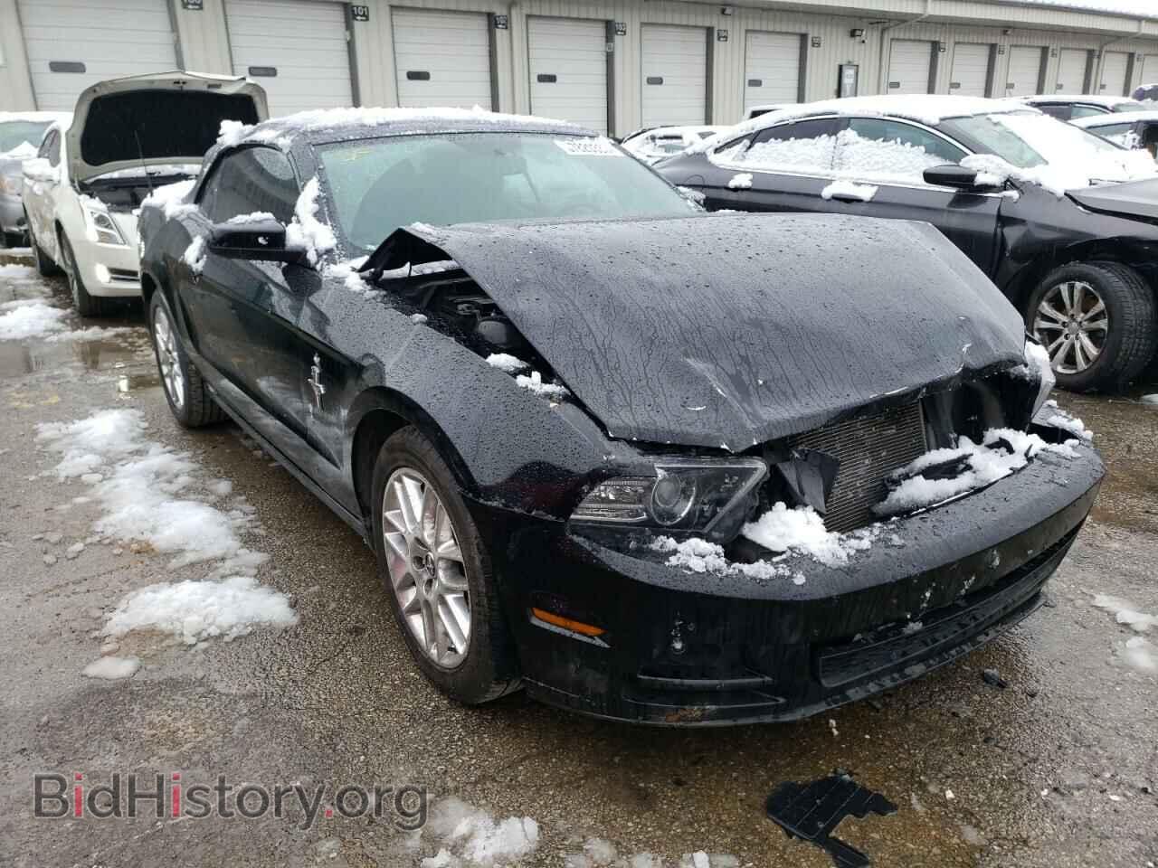 2014 FORD MUSTANG - VIN: 1ZVBP8EM9E5254005 - Фото 4