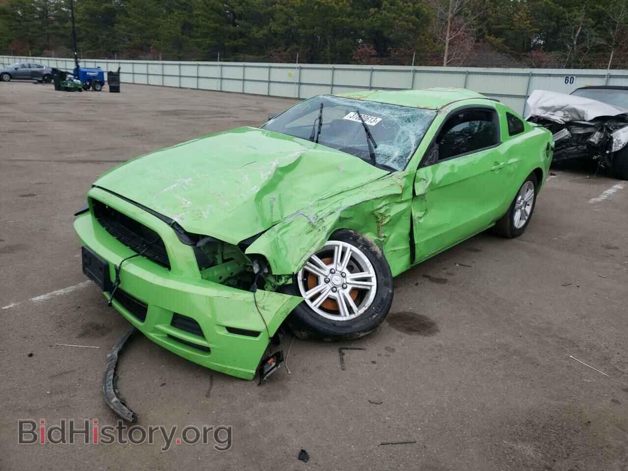Фотография 1ZVBP8AM2E5304295 - FORD MUSTANG 2014