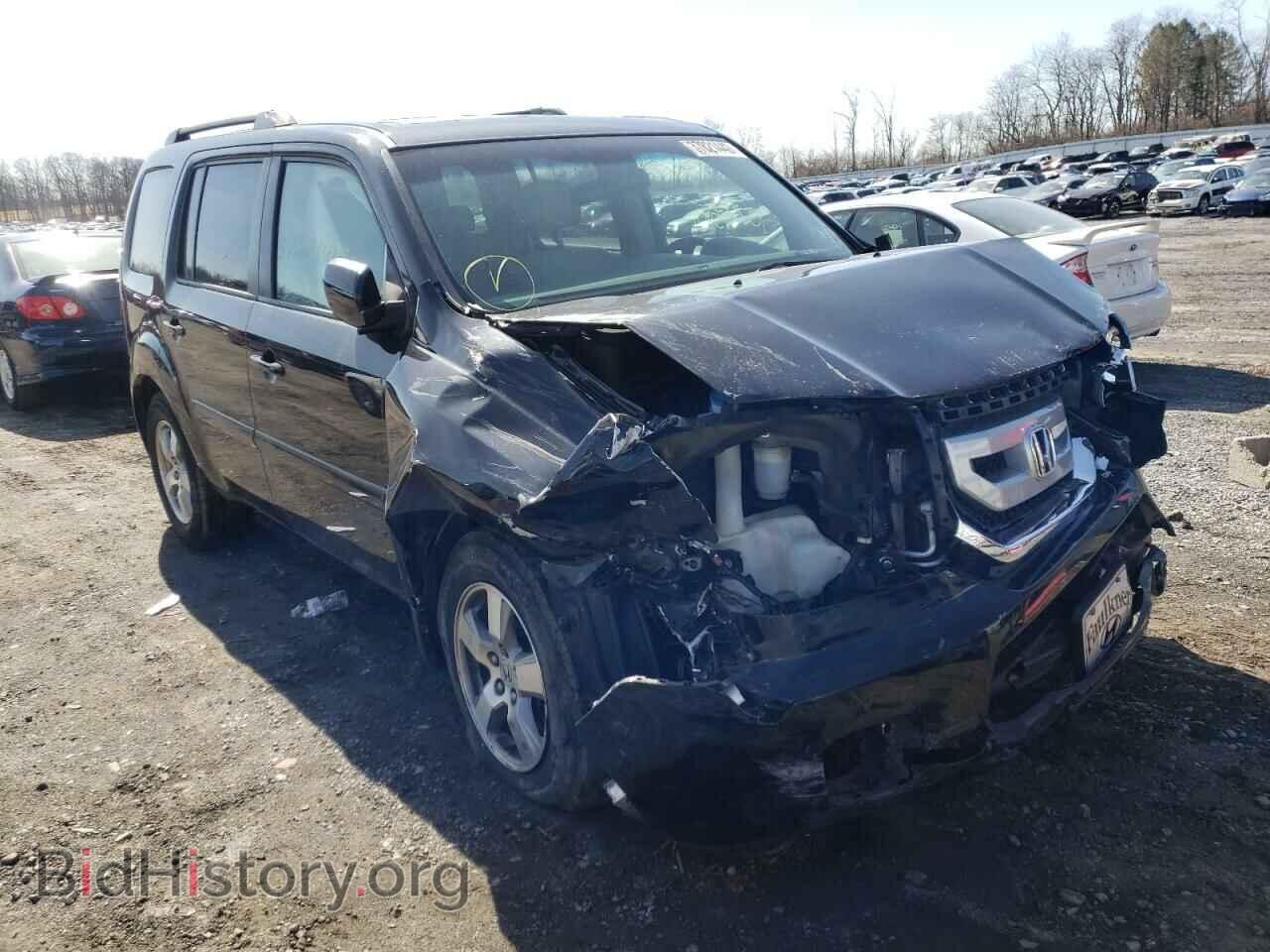 Фотография 5FNYF48699B019534 - HONDA PILOT 2009