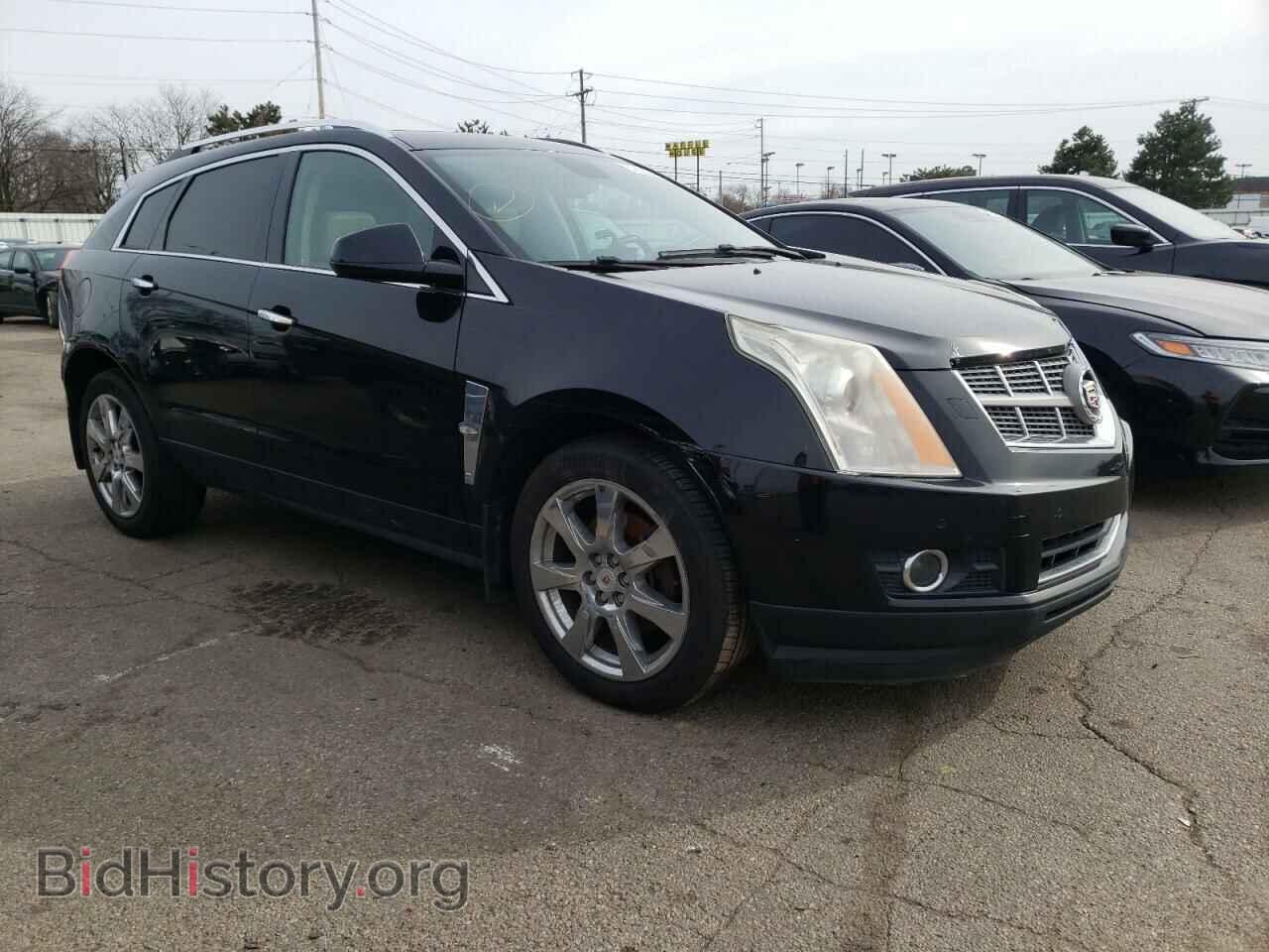 Фотография 3GYFNEEY4AS607806 - CADILLAC SRX 2010