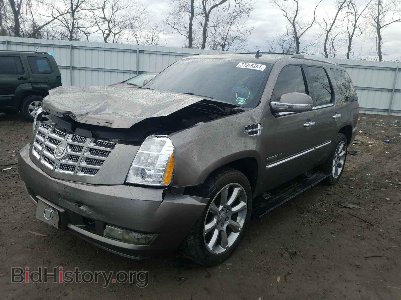2011 CADILLAC ESCALADE - VIN: 1GYS4CEF6BR247205 - Фото 2