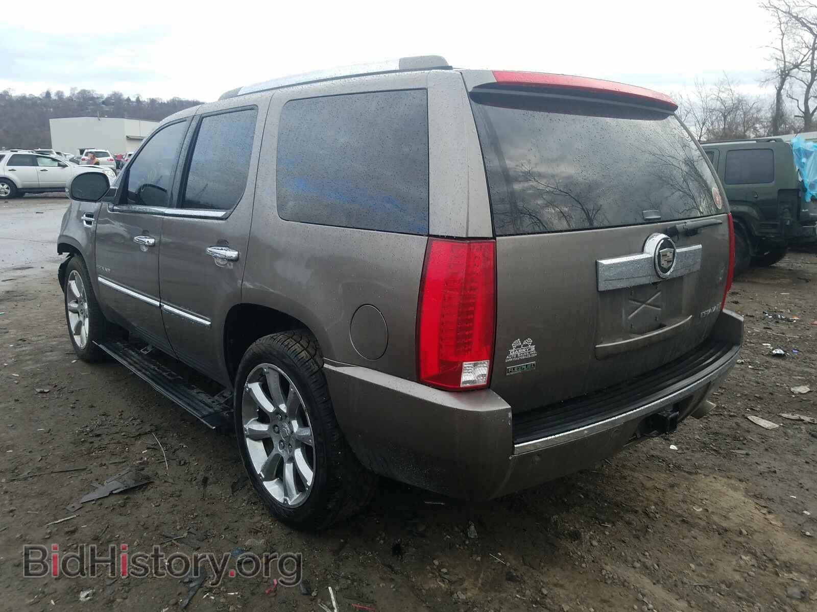 2011 CADILLAC ESCALADE - VIN: 1GYS4CEF6BR247205 - Фото 3