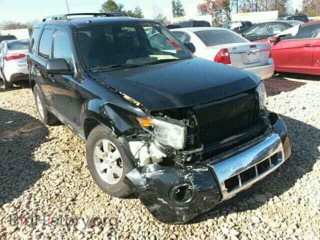 Photo 1FMCU0E79BKB47590 - FORD ESCAPE 2011