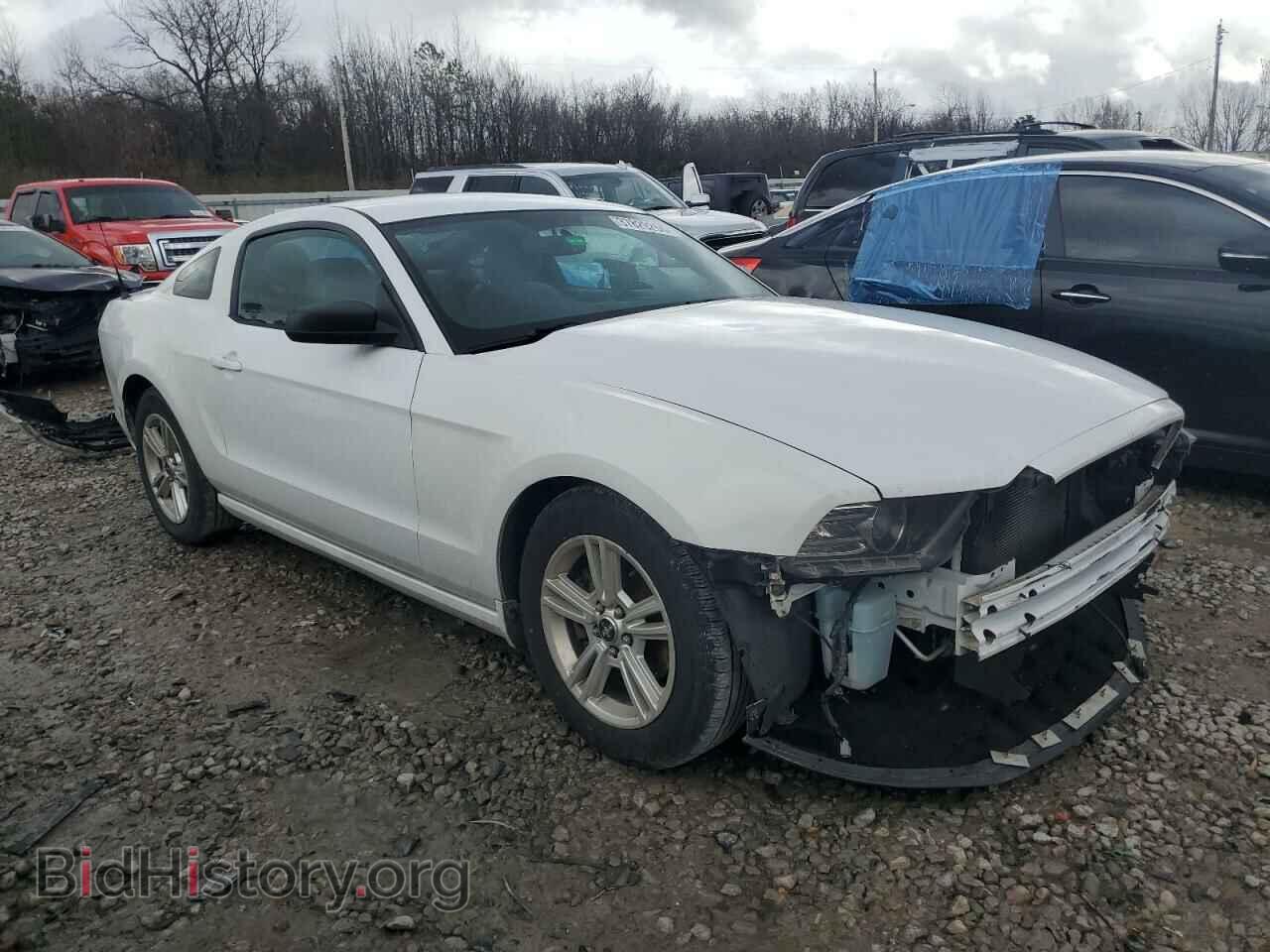 2014 FORD ALL Models - VIN: 1ZVBP8AM4E5319221 - Photo 4