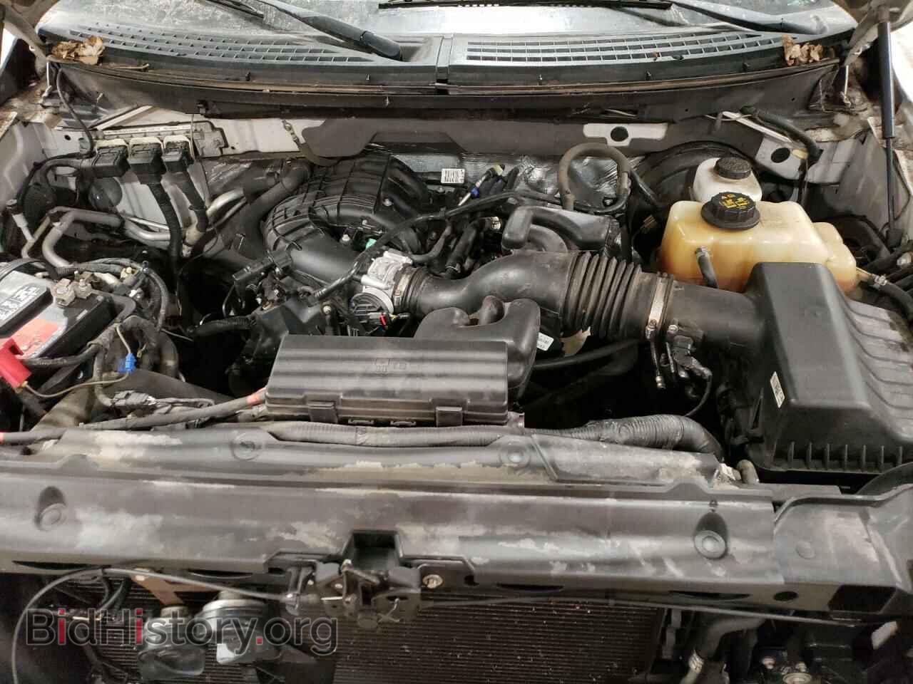 2013 FORD All Models - VIN: 1FTMF1CM7DFC50276 - Фото 11