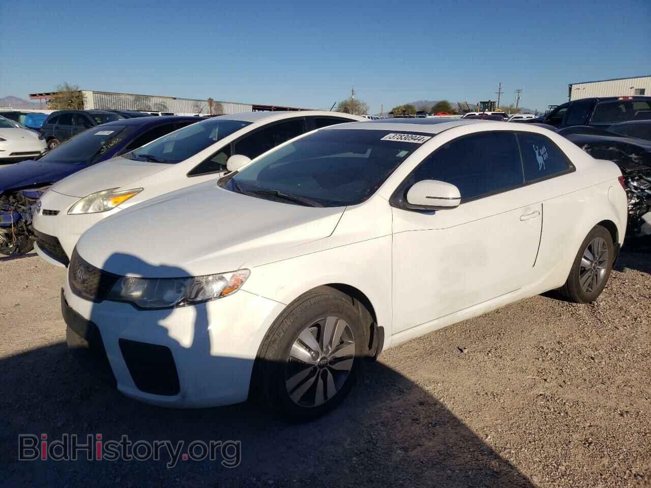 Фотография KNAFU6A27D5707264 - KIA FORTE 2013
