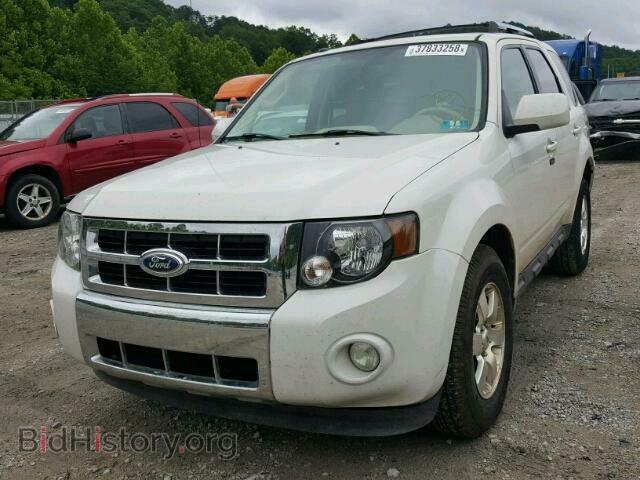 2011 FORD ESCAPE - VIN: 1FMCU9E75BKC49957 - Фото 2