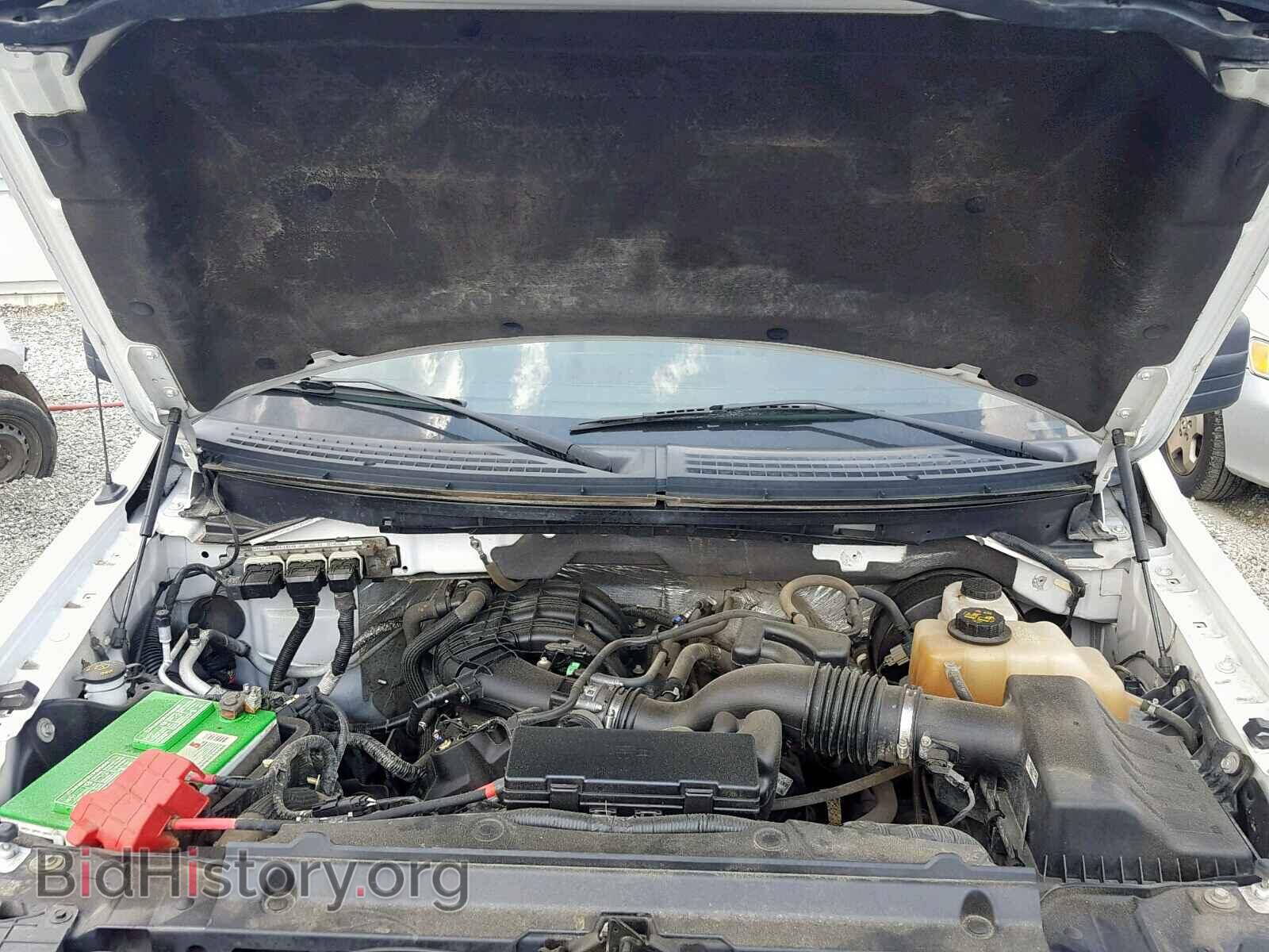 2013 FORD F150 - VIN: 1FTMF1CM4DFC13413 - Фото 7