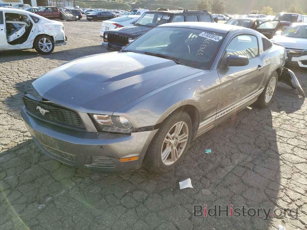 Photo 1ZVBP8AN8A5176826 - FORD MUSTANG 2010