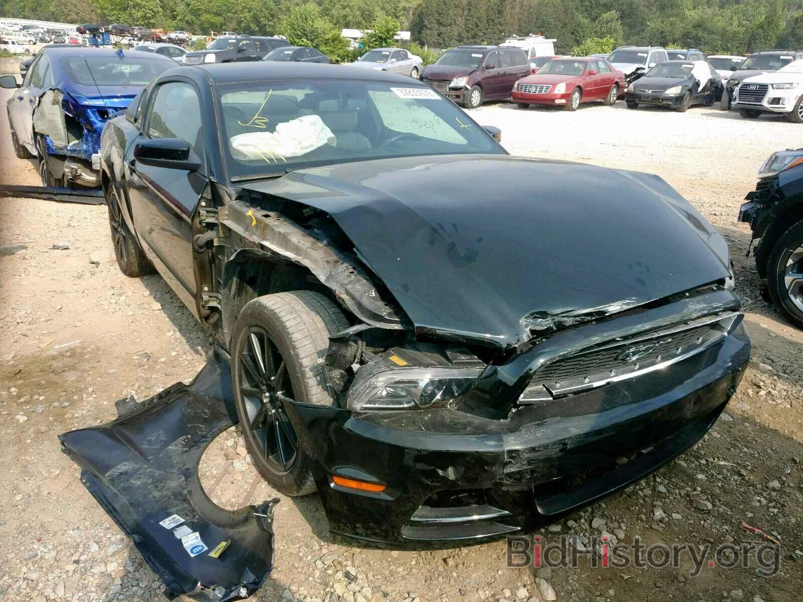 Photo 1ZVBP8AM6D5238123 - FORD MUSTANG 2013