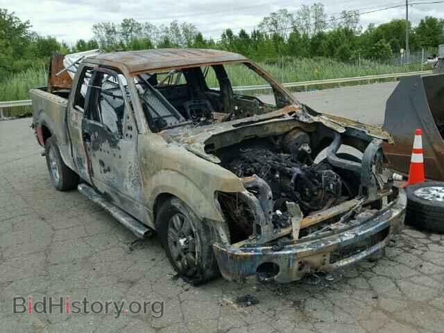 Photo 1FTFX1ET4CFC07958 - FORD F150 2012
