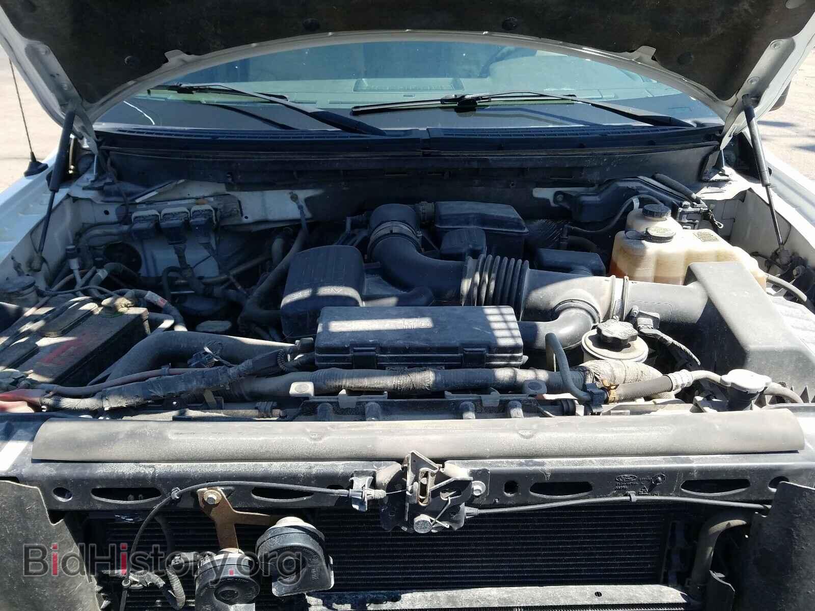 2010 FORD F150 - VIN: 1FTFX1EV3AKE18509 - Фото 7