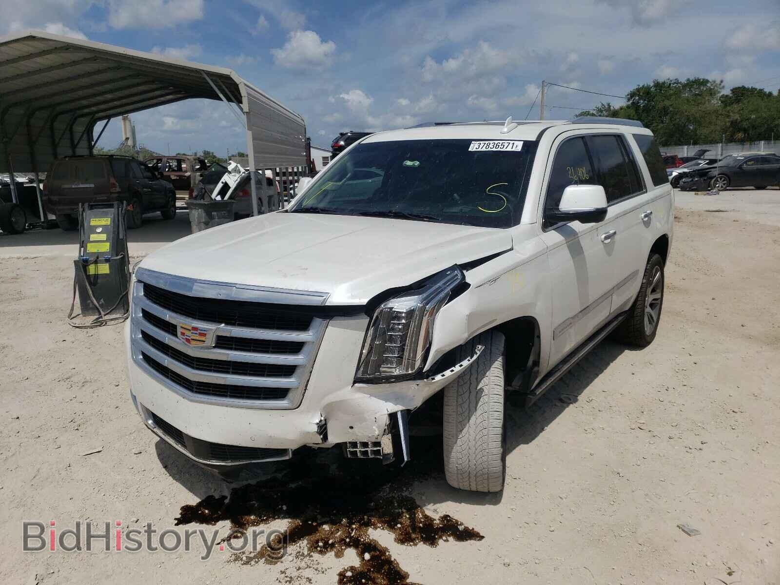 2016 CADILLAC ESCALADE - VIN: 1GYS4CKJ4GR164484 - Фото 2