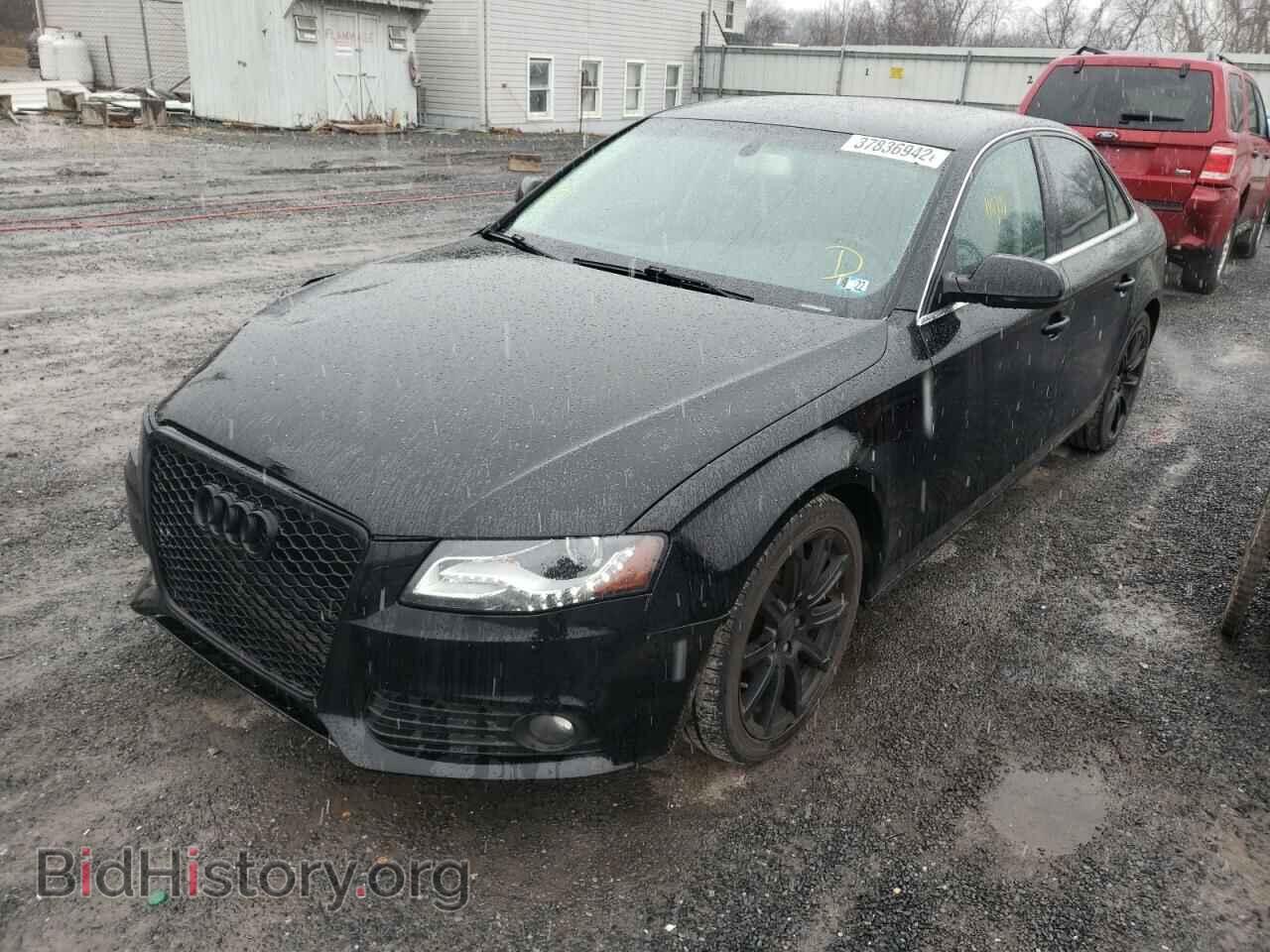 2010 AUDI A4 - VIN: WAUHFAFL2AN051753 - Фото 2