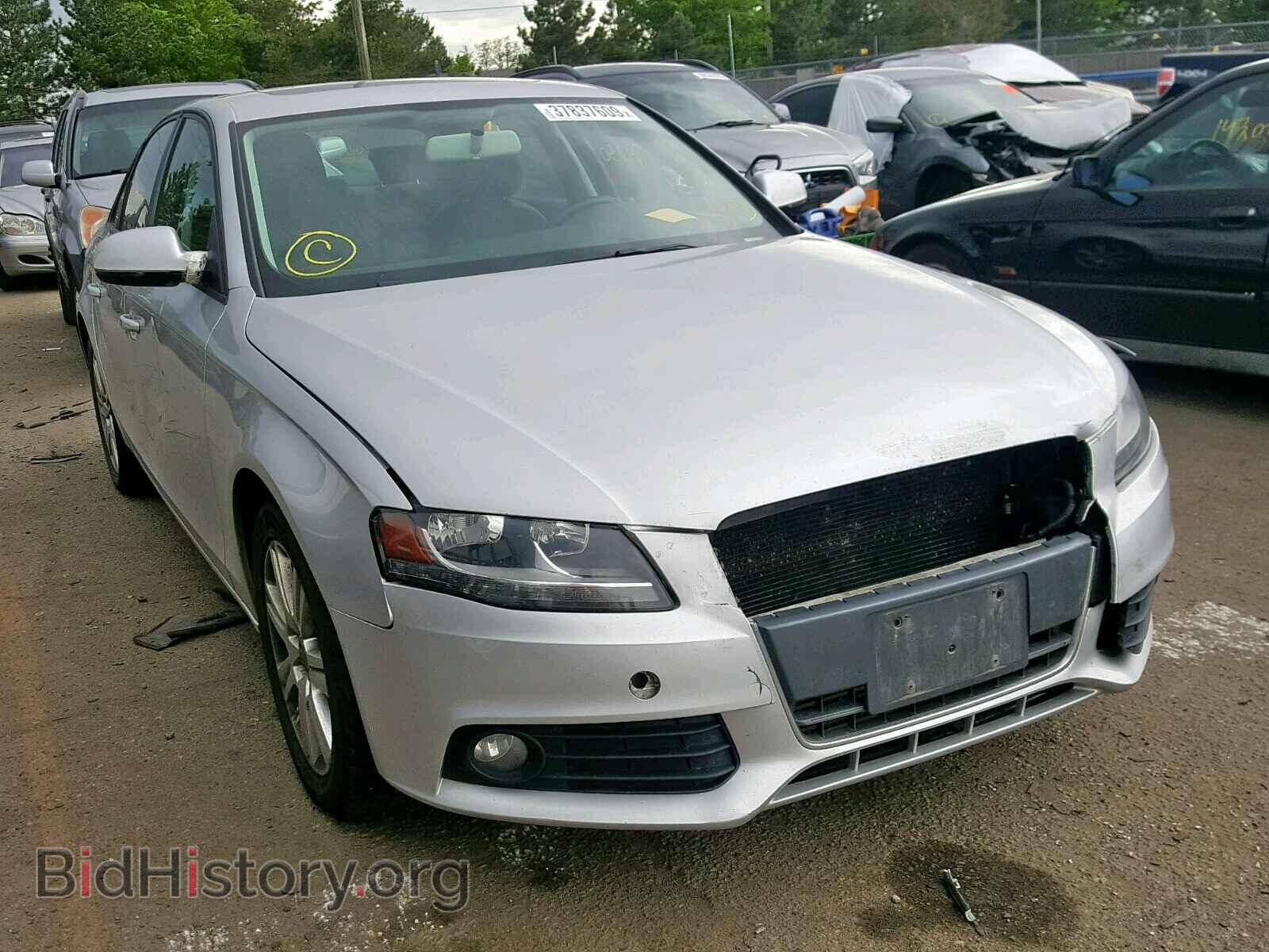 Фотография WAUBFAFL8AN040620 - AUDI A4 2010