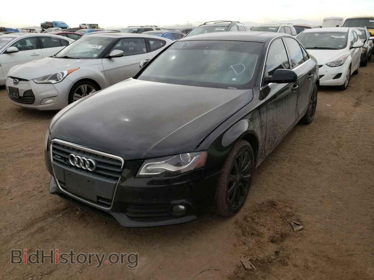 2010 AUDI A4 - VIN: WAUFFAFL5AN038275 - Фото 2